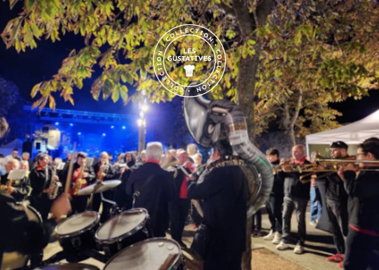 RENCONTRES VIGNERONNES & VENDANGES EN FÊTE