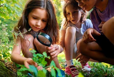 Domaine de Sédières : Devenez explorateur de la nature en forêt