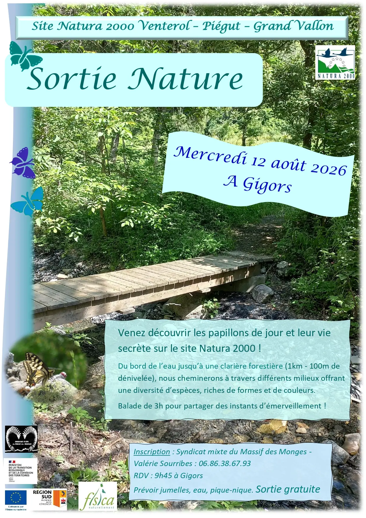 Sortie nature : à la découverte des papillons de jour