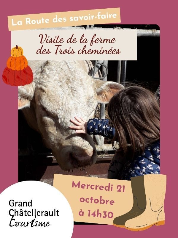 Visite de la ferme des Trois cheminées