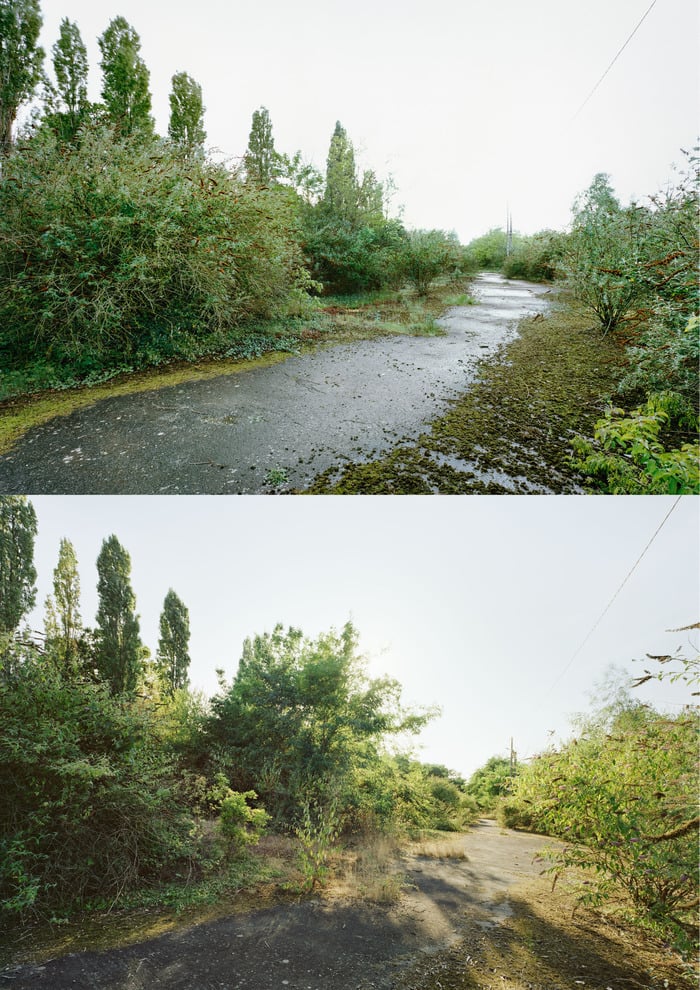 Exposition - Les sauvages