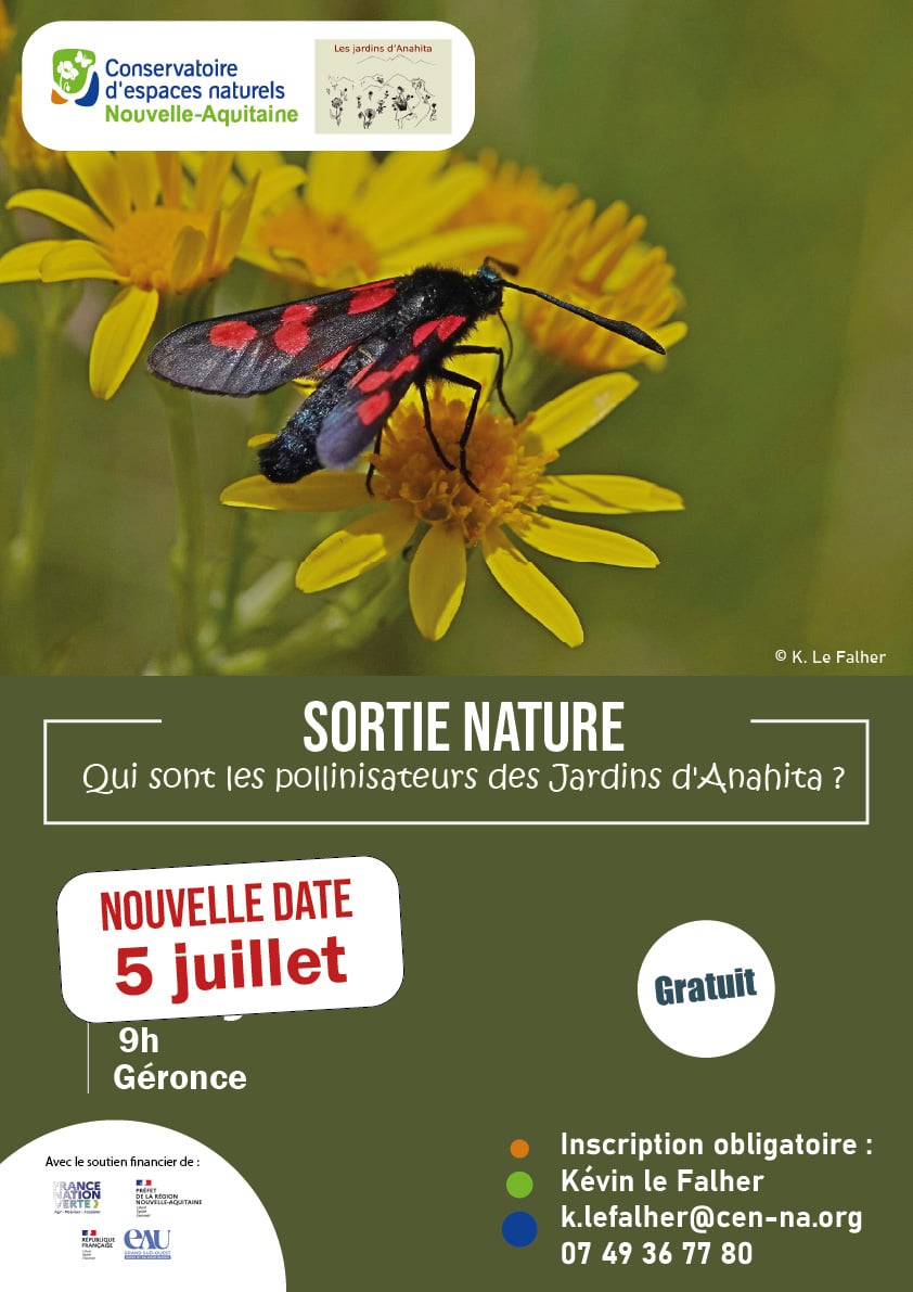 Sortie nature : Qui sont les pollinisateurs des Jardins d'Anahita ?
