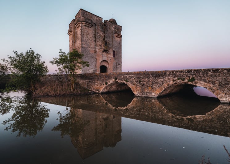 Visites guidées de la Tour Carbonnière – Office de Tourisme Terre de Camargue