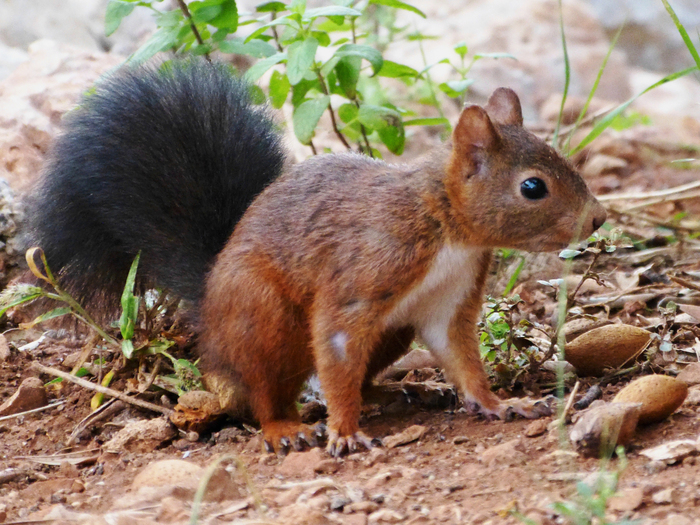 Ils sont autour de nous...