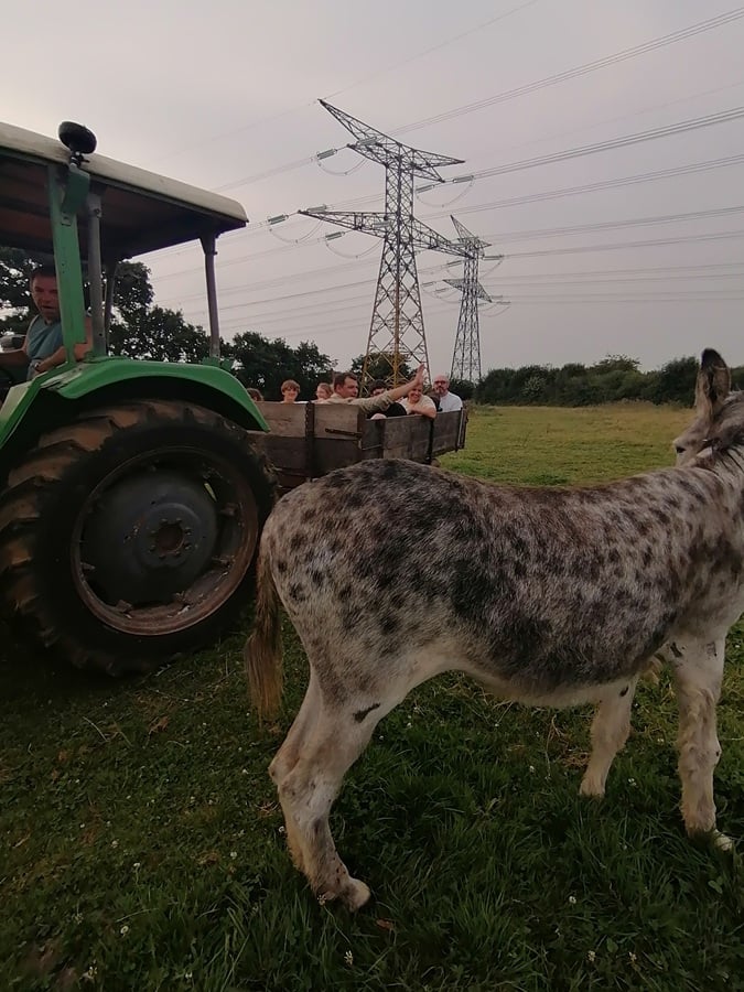 Visite a la ferme