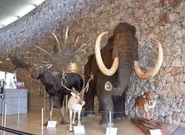 Sortie au Musée de la Préhistoire des Gorges du Verdon et balade à Cotignac