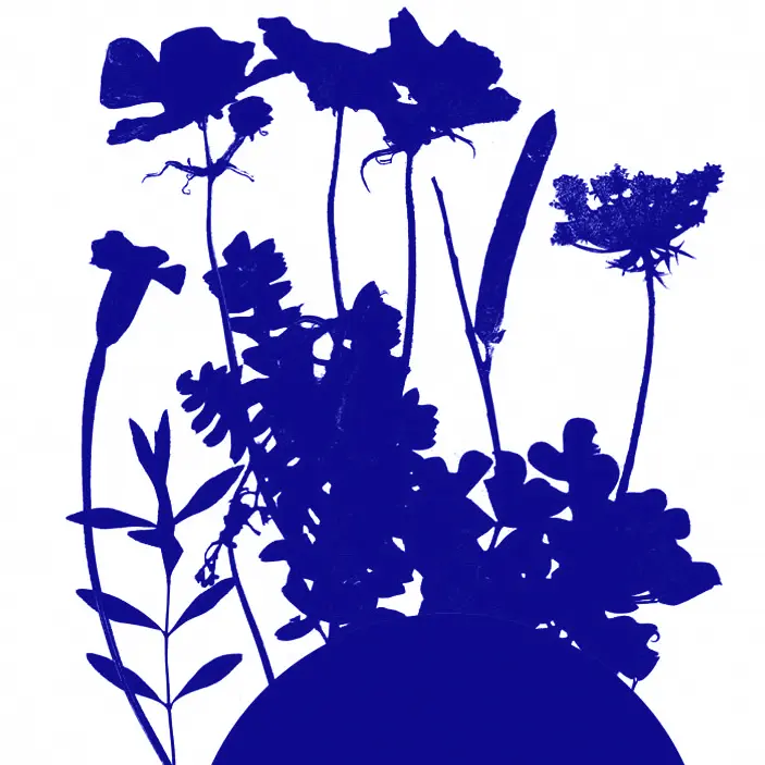 Atelier Jeune Public de Sérigraphie - Estivales du Haut-Calavon
