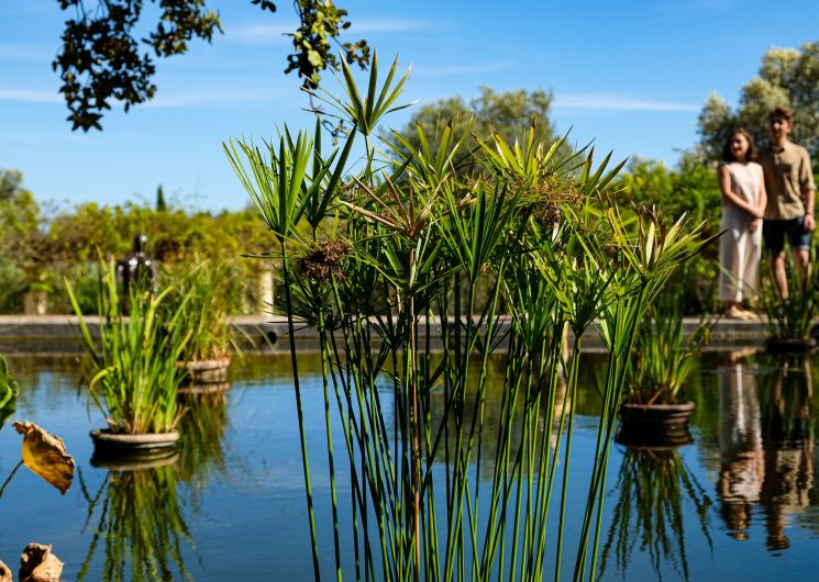 VISITES GUIDÉES DU JARDIN ANTIQUE MÉDITERRANÉEN