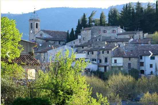 Aïoli
