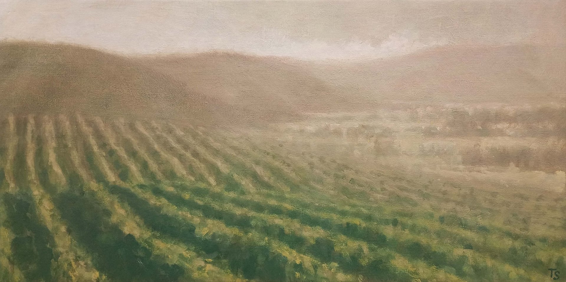 Au coeur de la vigne