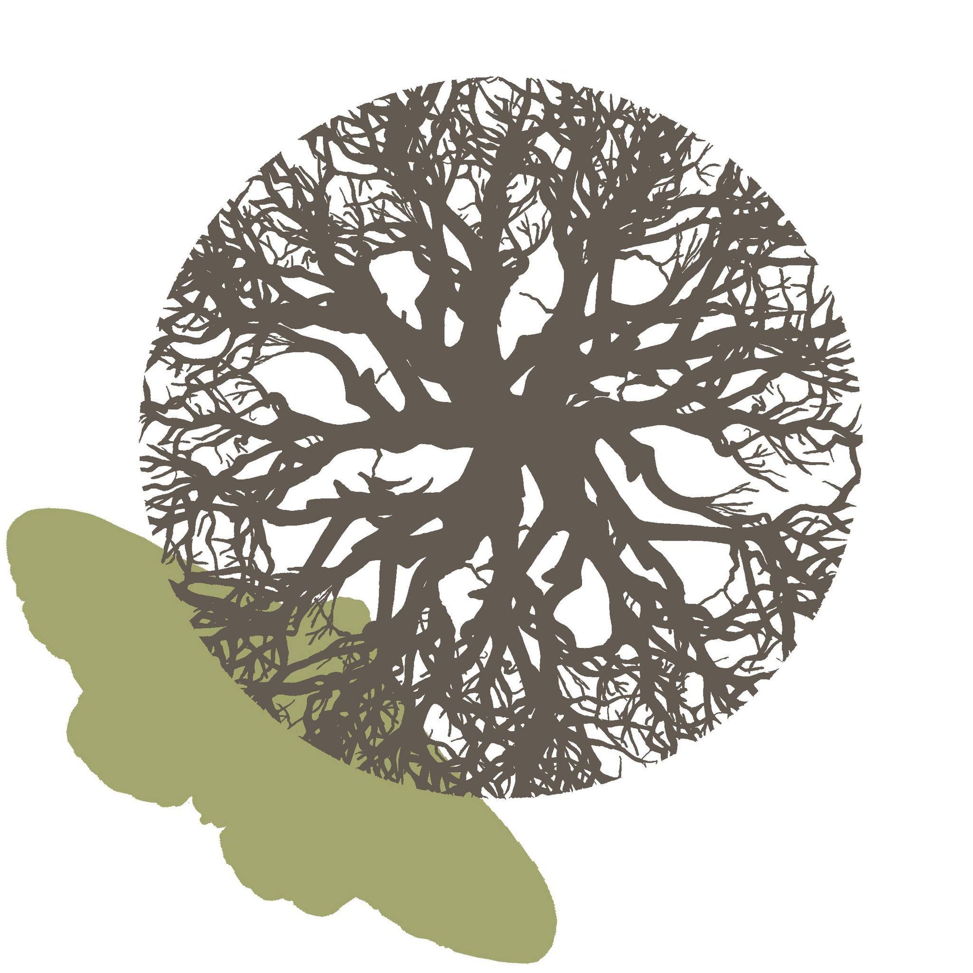 Représentation circassienne avec Emilia Tau et Michel Thouseau