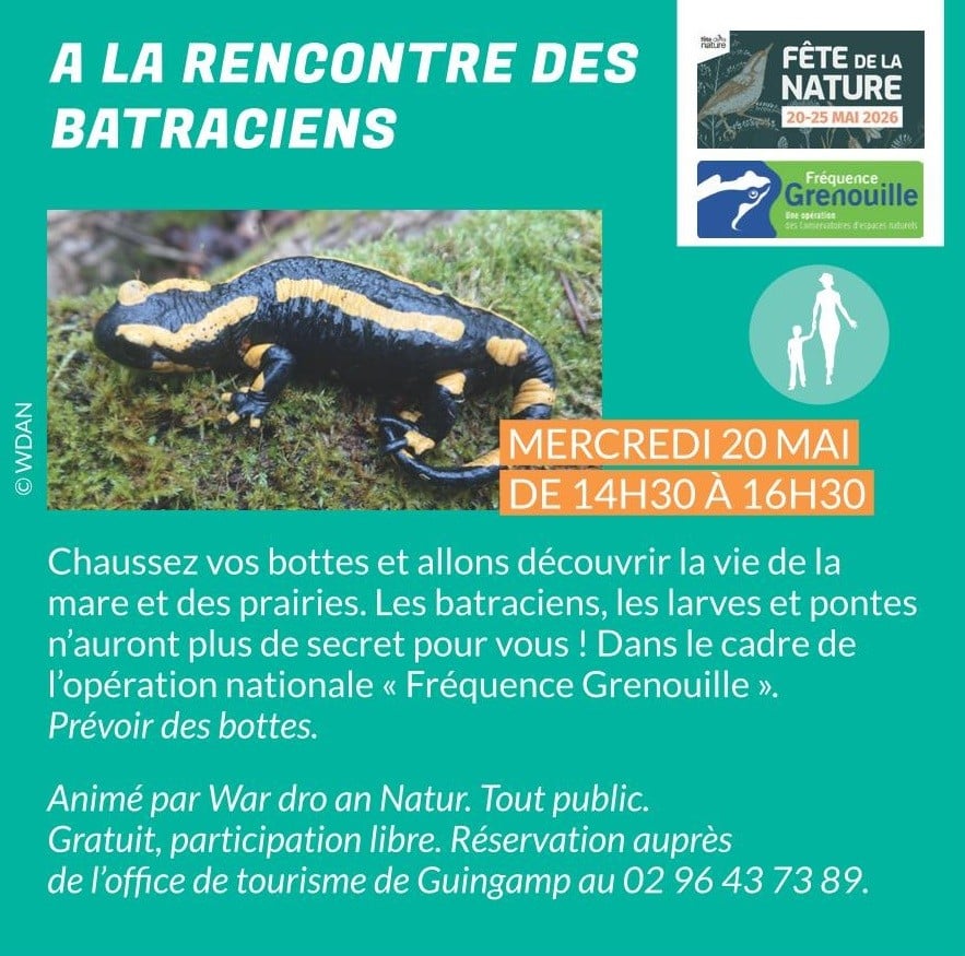 A la rencontre des batraciens