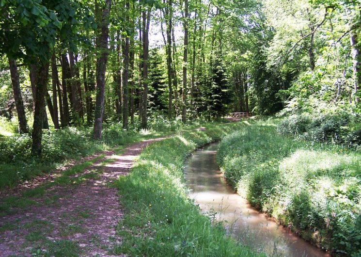 LECTURE DE PAYSAGE AMBULATOIRE