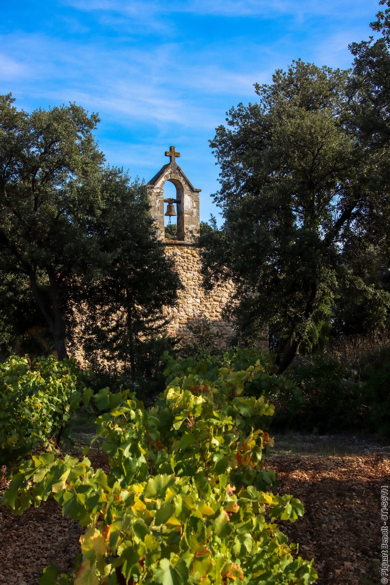 LA TRAÏLADES DES VINCOEURS