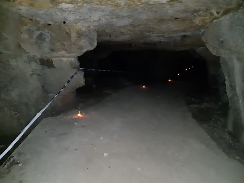 Nuit de la chauve-souris