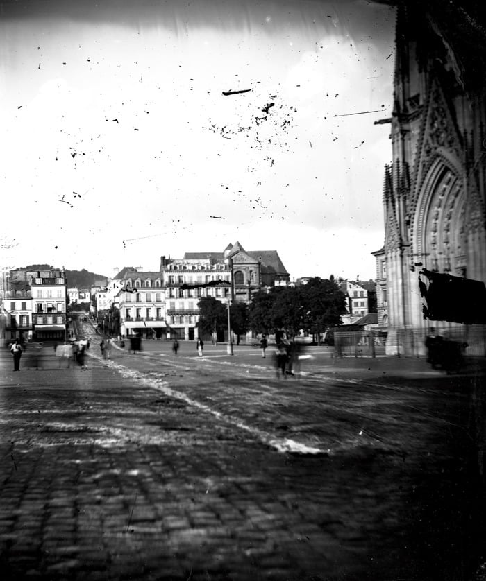 Visite guidée de l'exposition en anglais