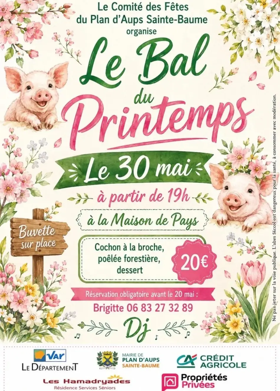 Le bal du printemps : repas et soirée DJ