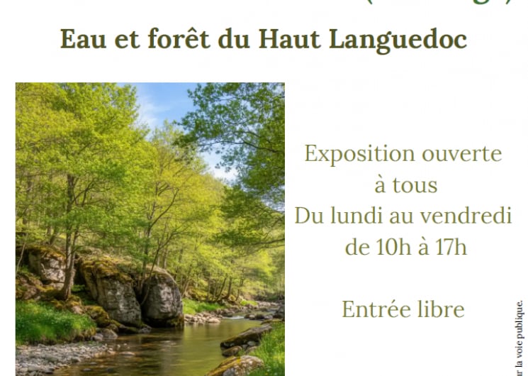Exposition estivale : « Eau et forêts du Haut Languedoc »