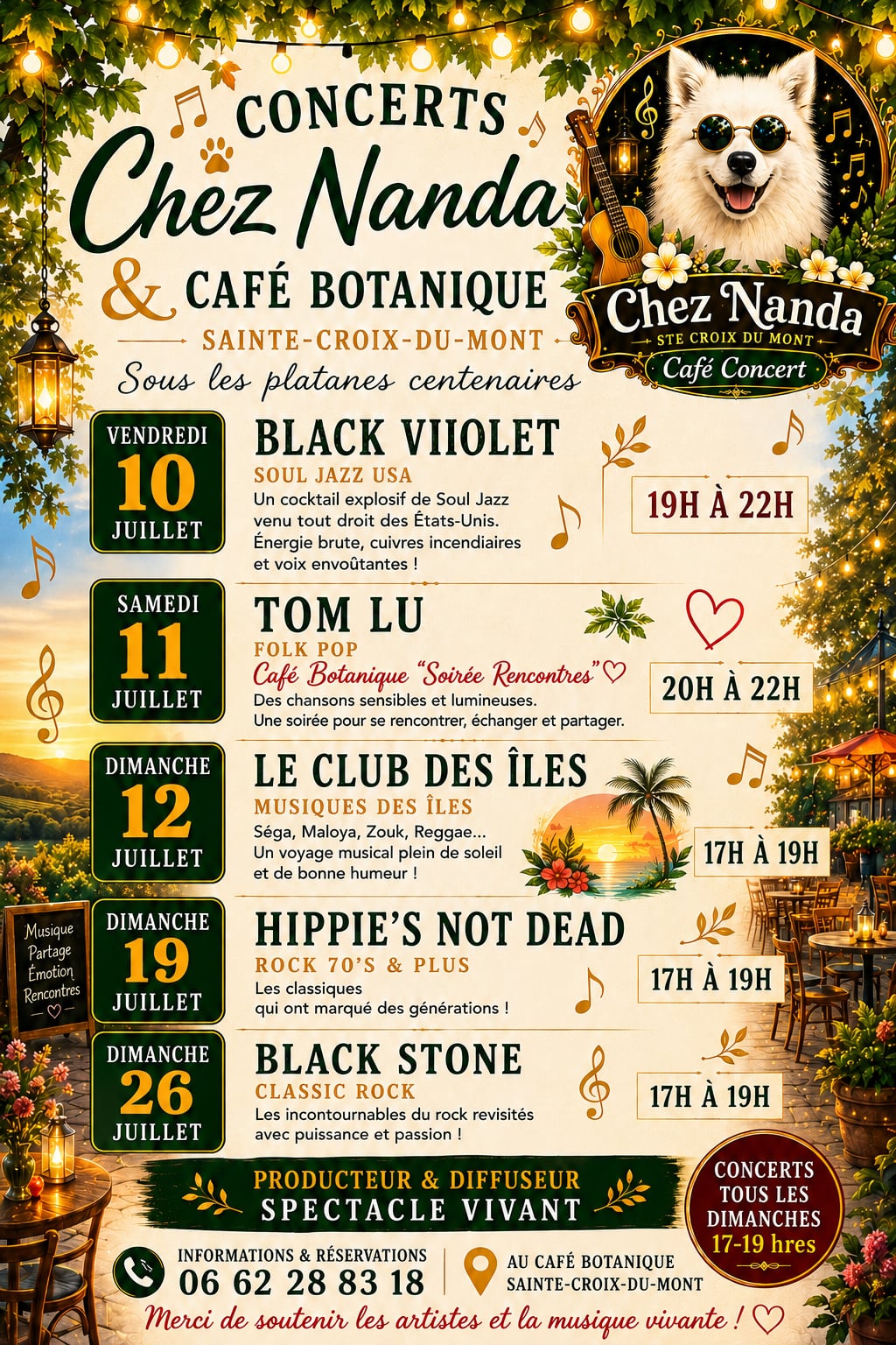 Concert Hippies's not dead