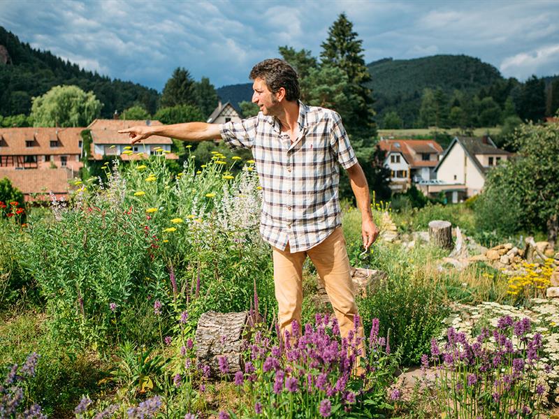 Visite guidée du jardin écologique Hymenoptera