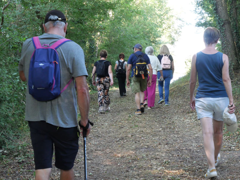 Promenade commentée autour de l'étang de Goule
