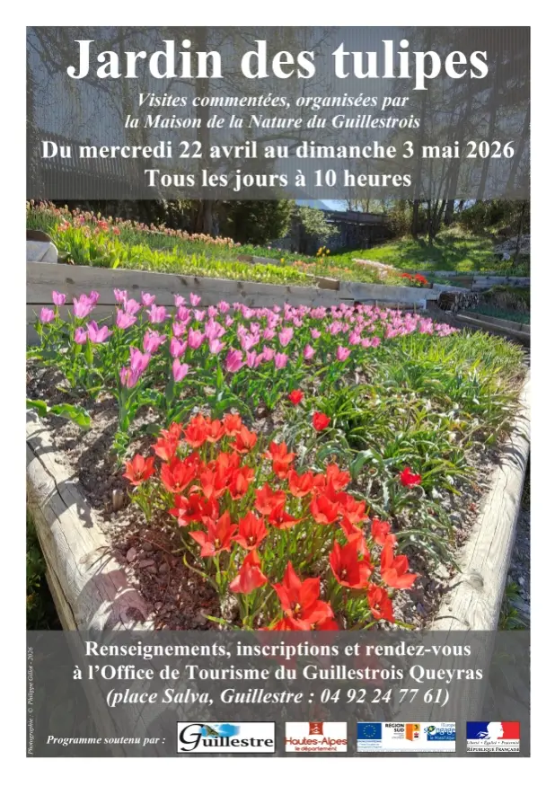 Visite du jardin des tulipes