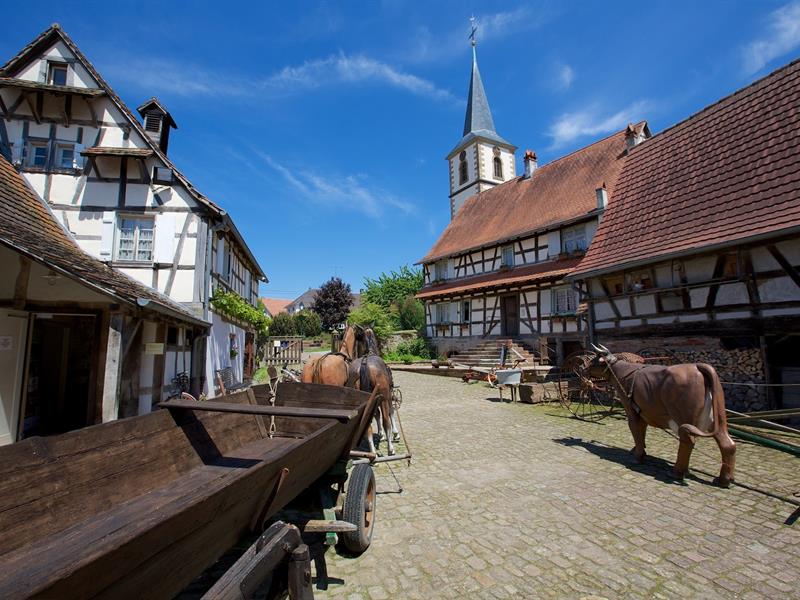 Exposition : Le verre à soi