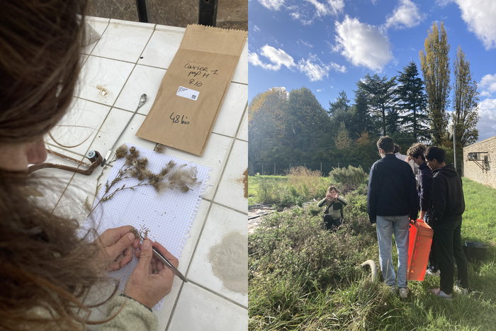 Élixirs du Plateau de Saclay / Parcours artistique insolite par la compagnie TANGIBLE