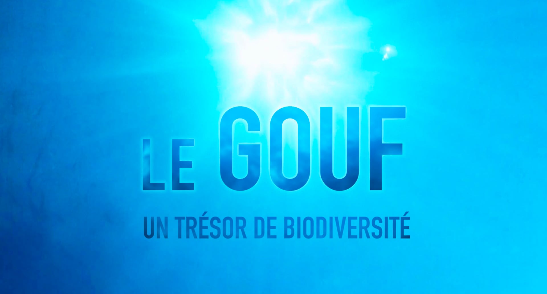 Diffusion du film documentaire "Le Gouf, un trésor de biodiversité"