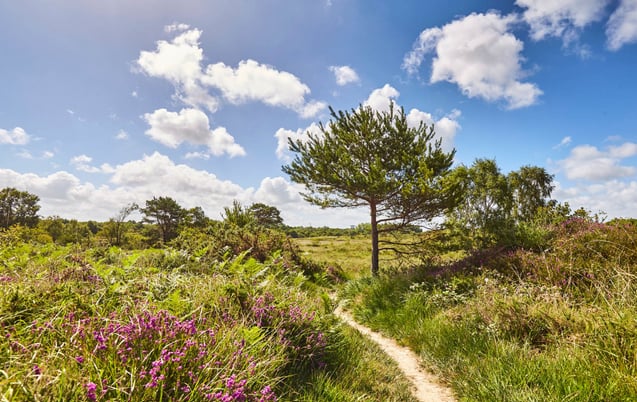Landes de la poterie – Journées européennes du patrimoine