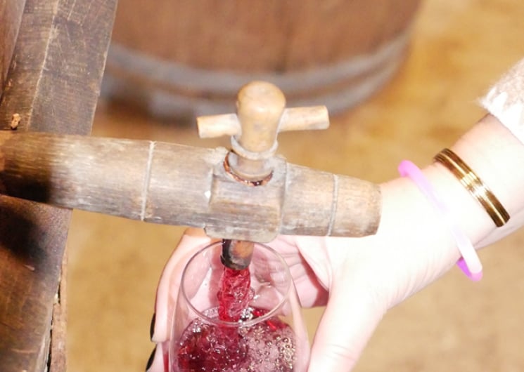 Soirée vin nouveau et châtaignes d’automne dans le chai des Garbasses