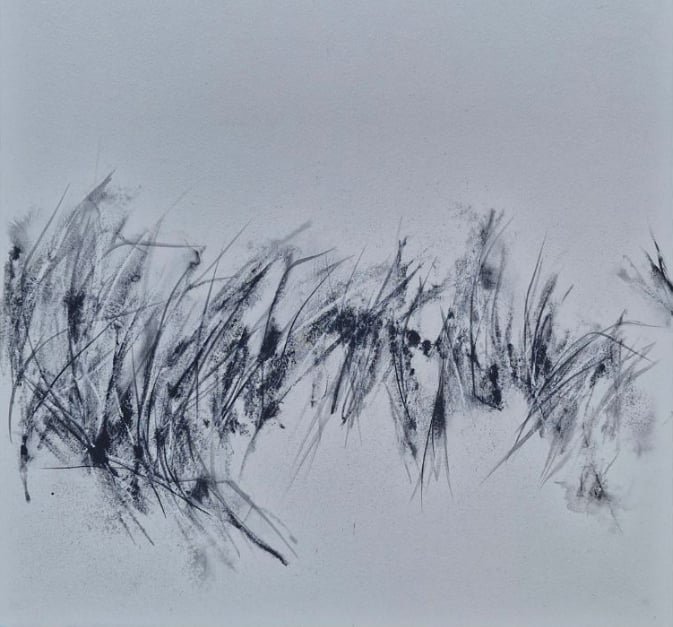 Exposition "Simplement Sauvage" de Patricia Fayat