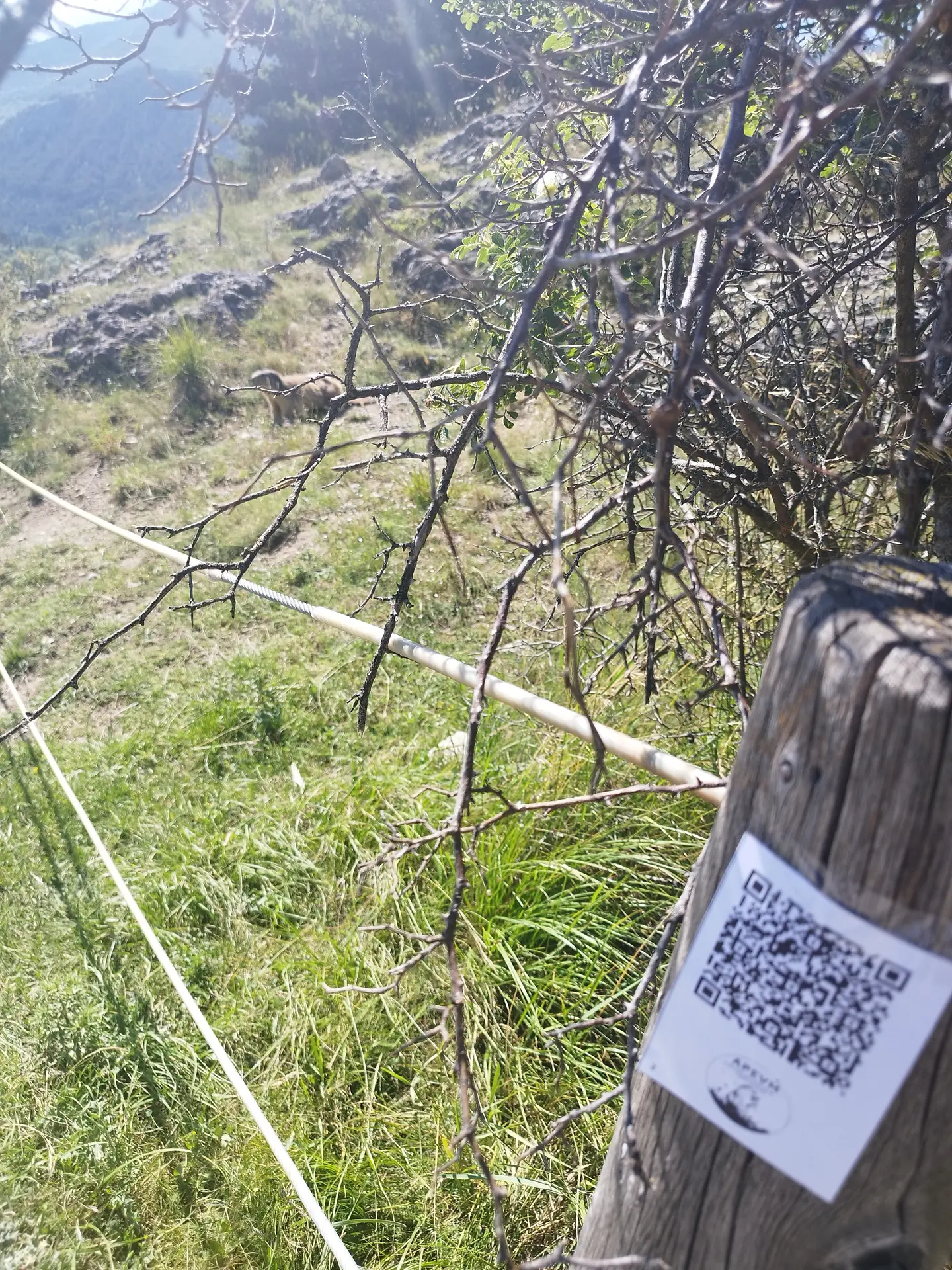 Jeu A la découverte des marmottes