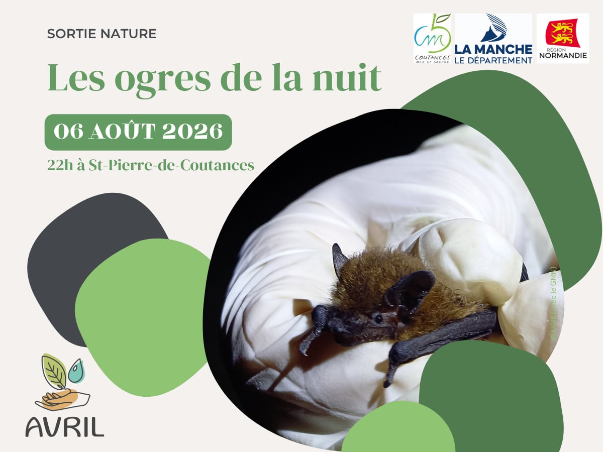 Les ogres de la nuit