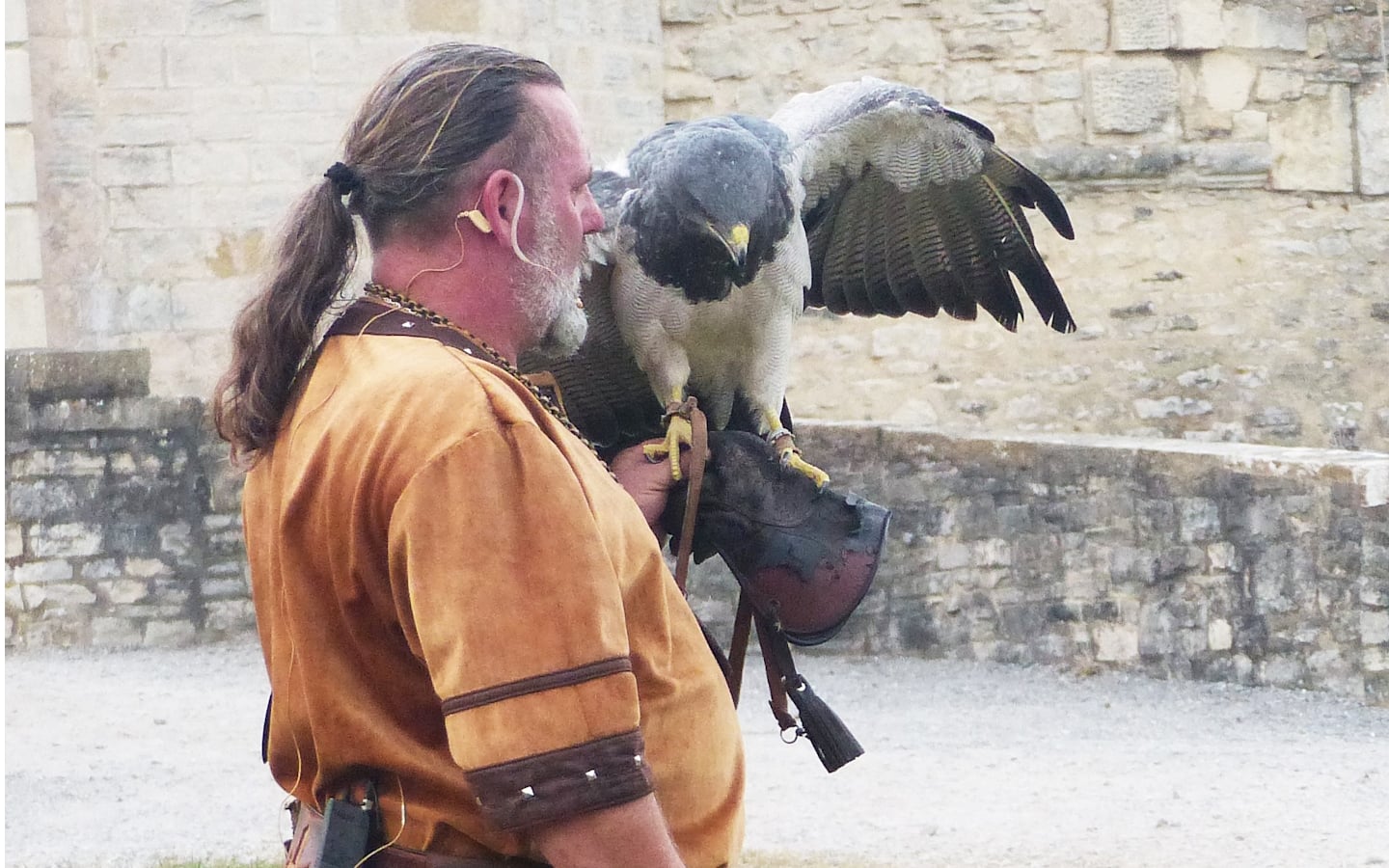 Spectacle des sabots et des ailes