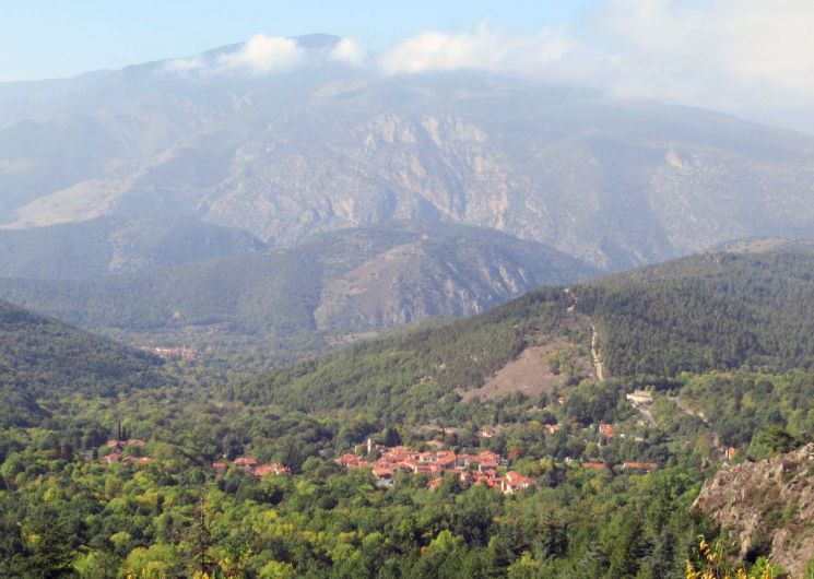 RANDO ACCOMPAGNEE : BOUCLE FORESTIERE VERS LE BALCON DU COGULLO