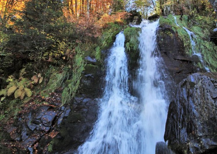 Randonnée contée vers une cascade