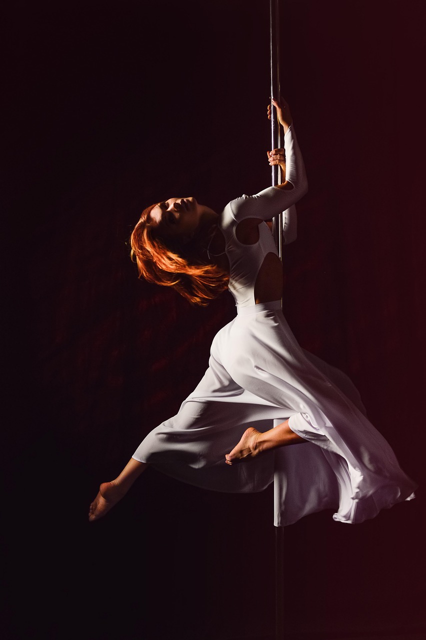 Domaines du Moulin Authier : Show et découverte Pôle Dance