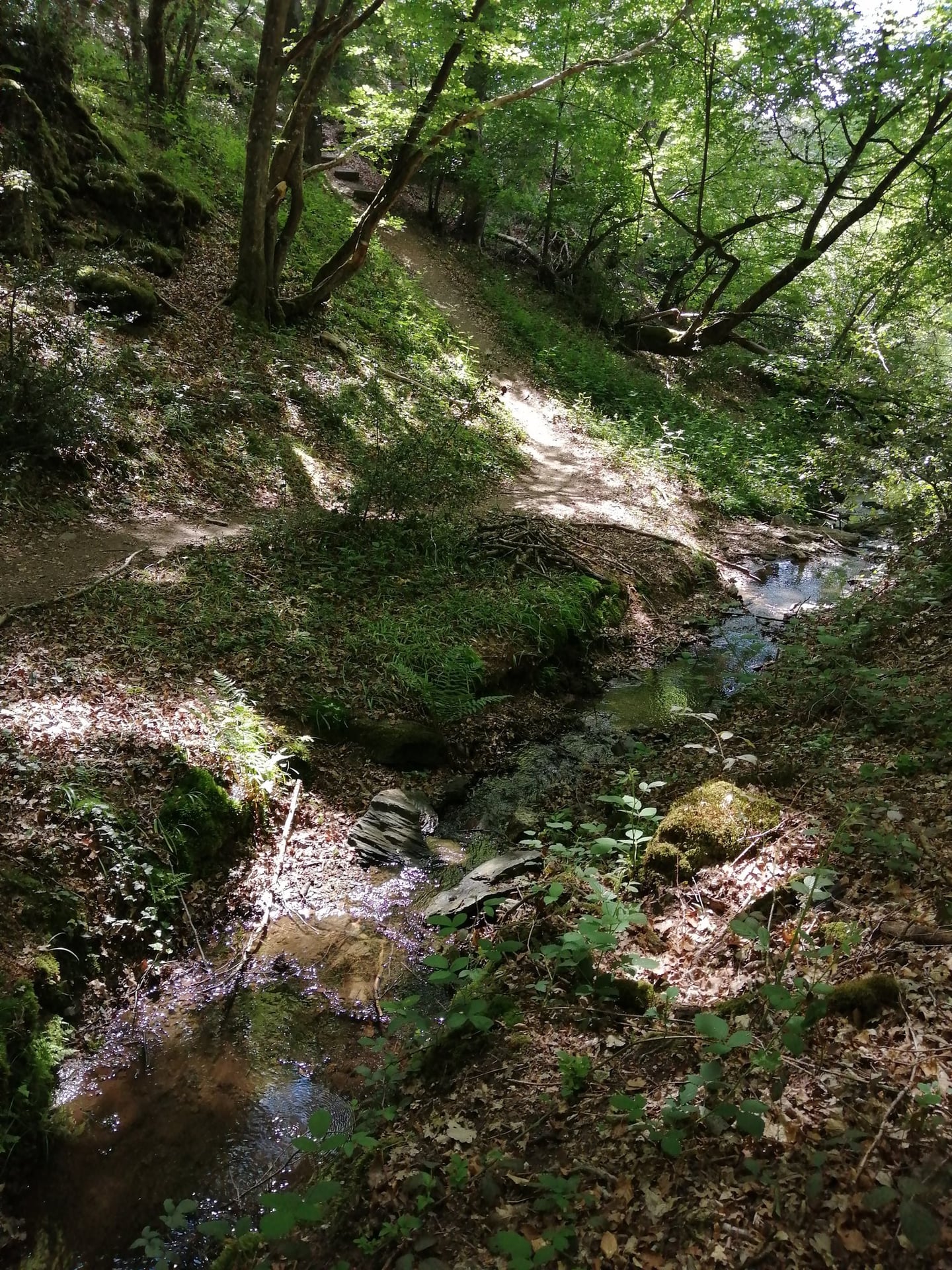Sortie au Moulin des Fougères
