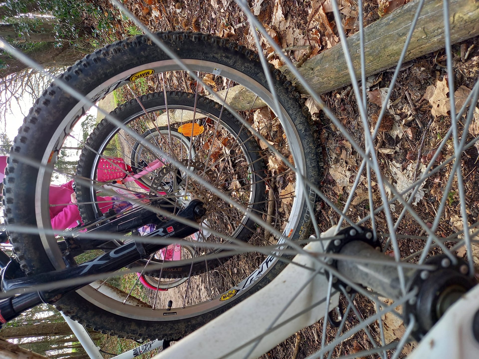 Balade vélo gourmande à Montoire-sur-le Loir