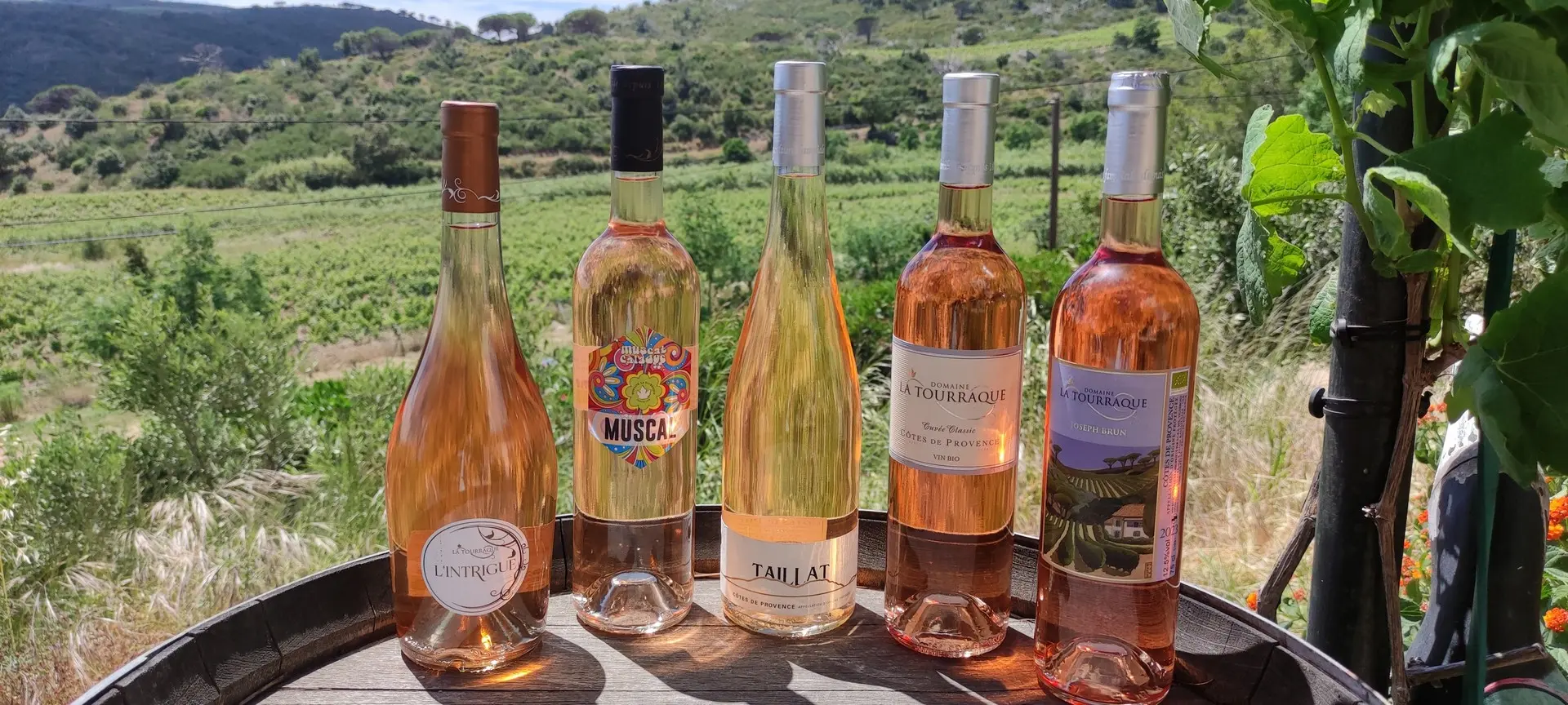 Fête du Printemps au Domaine La Tourraque