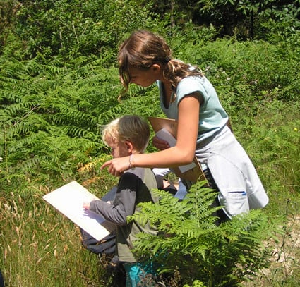 Enquête nature en forêt