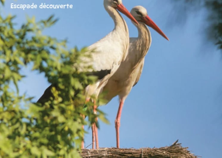 BALADE GUIDÉE : ESCAPADE DÉCOUVERTE