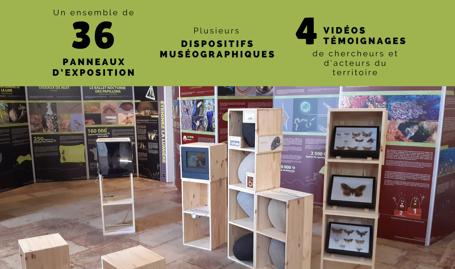 Exposition Estivale "Coup de Projecteur sur la Biodiversité (In)visible"