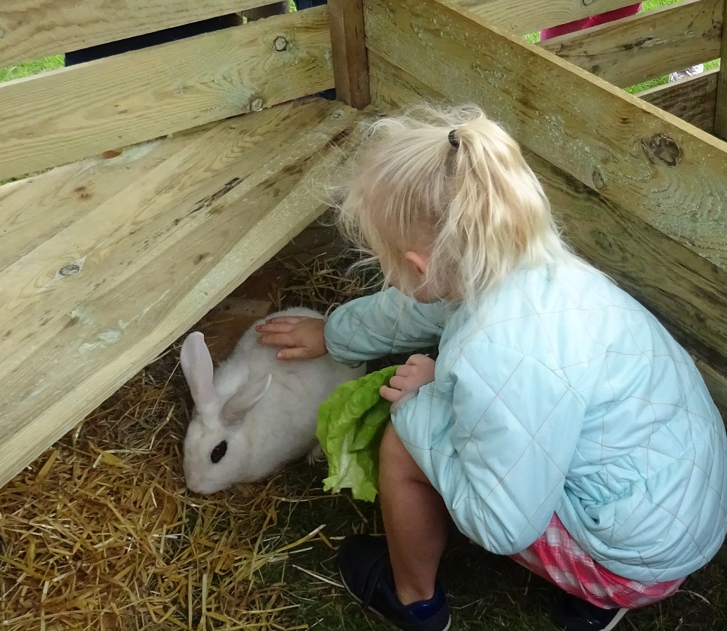 Visite des animaux - Ferme-musée du Cotentin