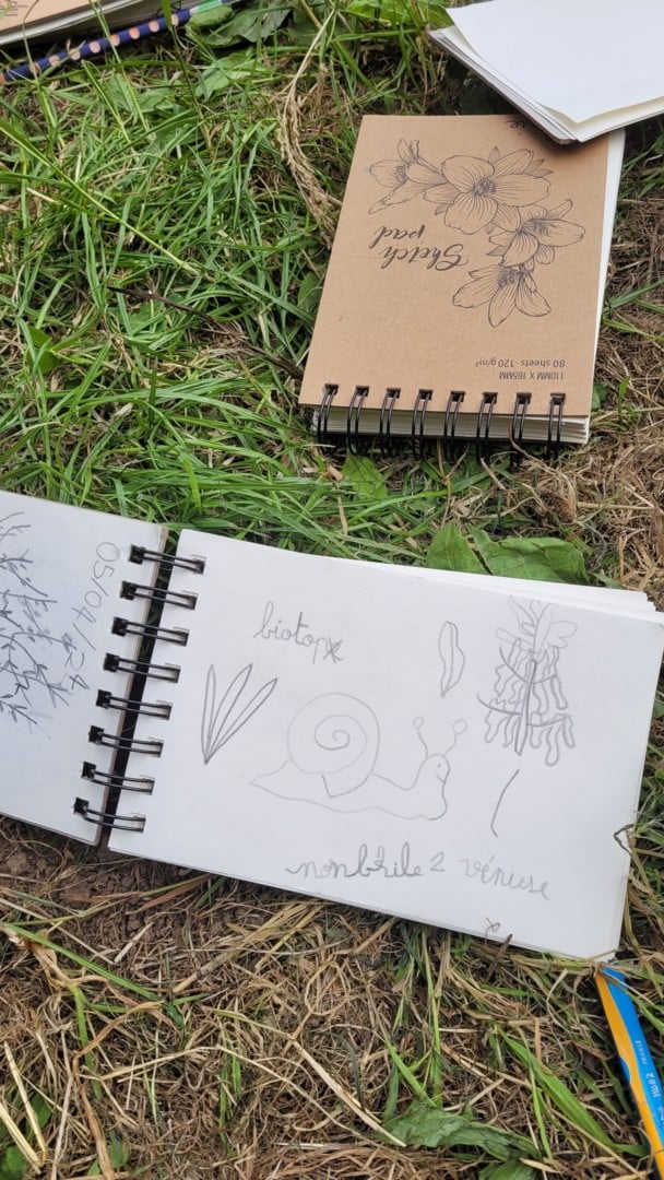 Atelier dessin aquarellé botanique en duo