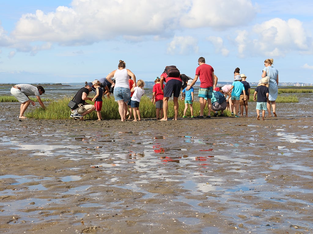 Les trésors cachés à marée basse