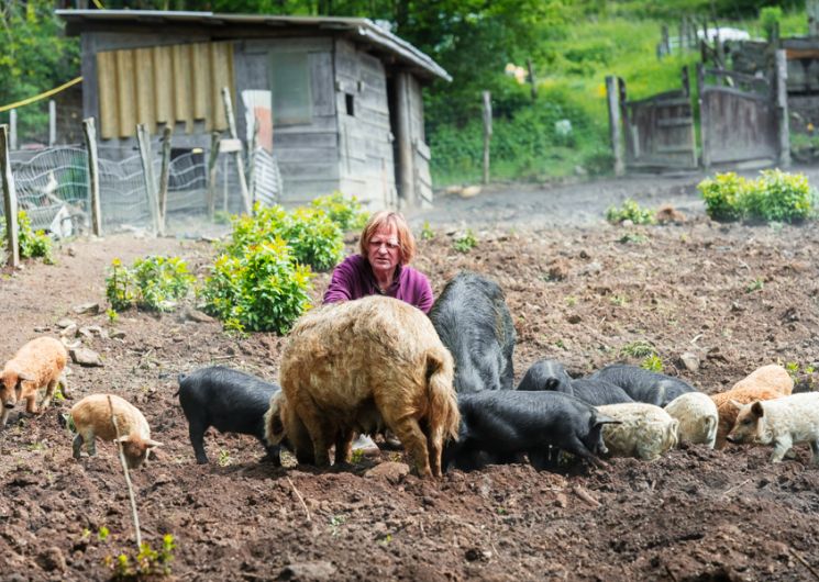Déjeuner gourmand et raffiné au Domaine du Catié