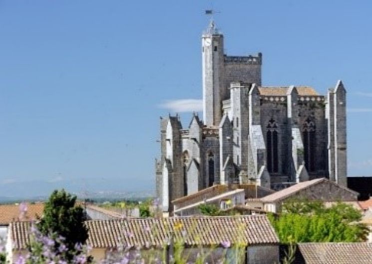 JOURNÉES EUROPÉENNES DU PATRIMOINE – VISITES DE LA COLLEGIALE SAINT-ETIENNE