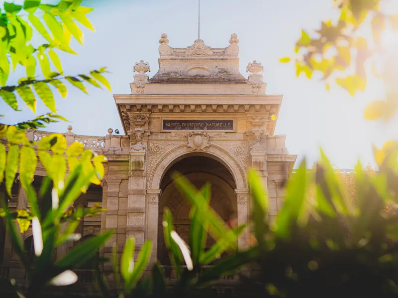 Journées Européennes du Patrimoine au Muséum d'Histoire Naturelle de Marseille (MHNM)